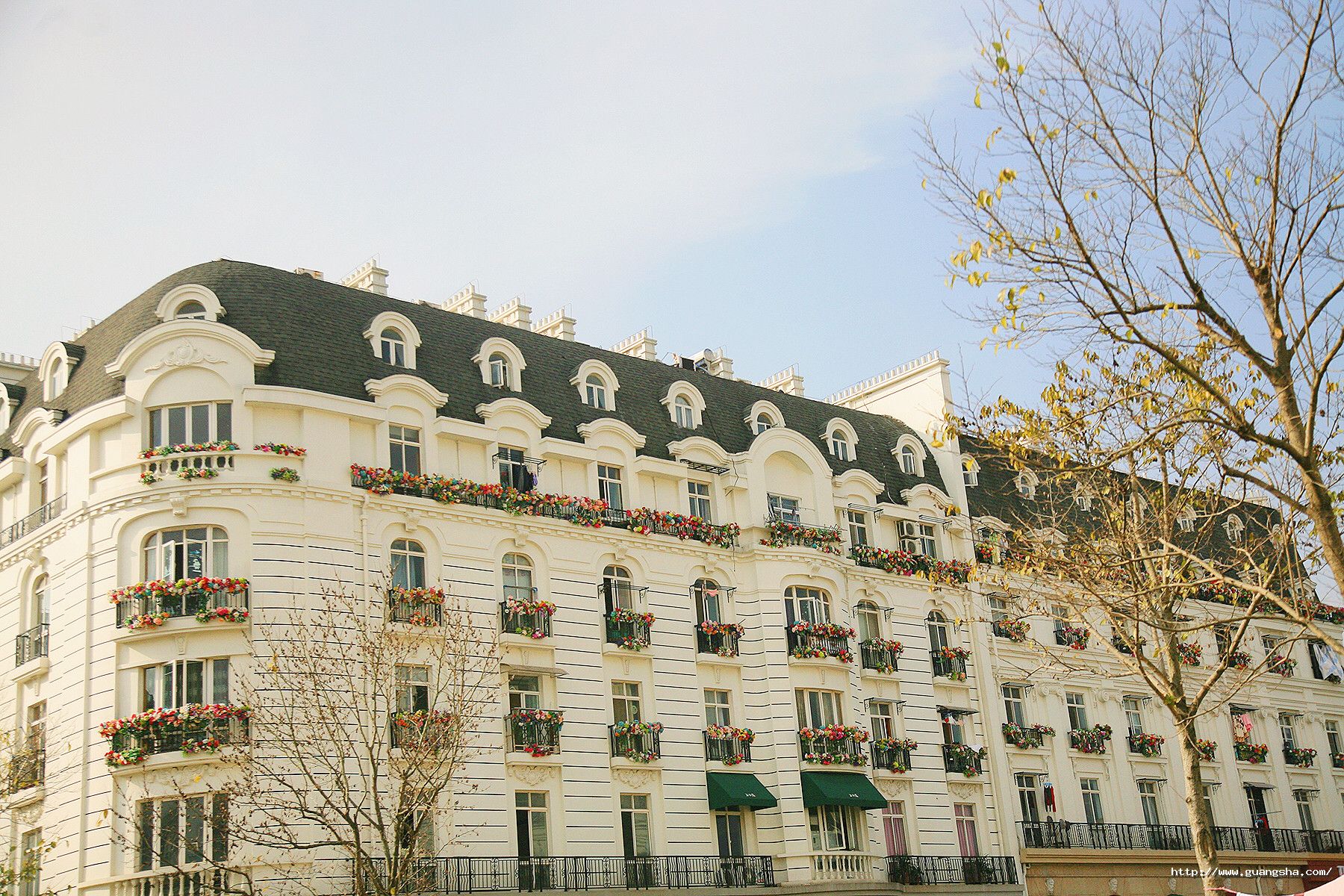 1568081078814452PMzr.jpg 623088280469189425_副本.jpg