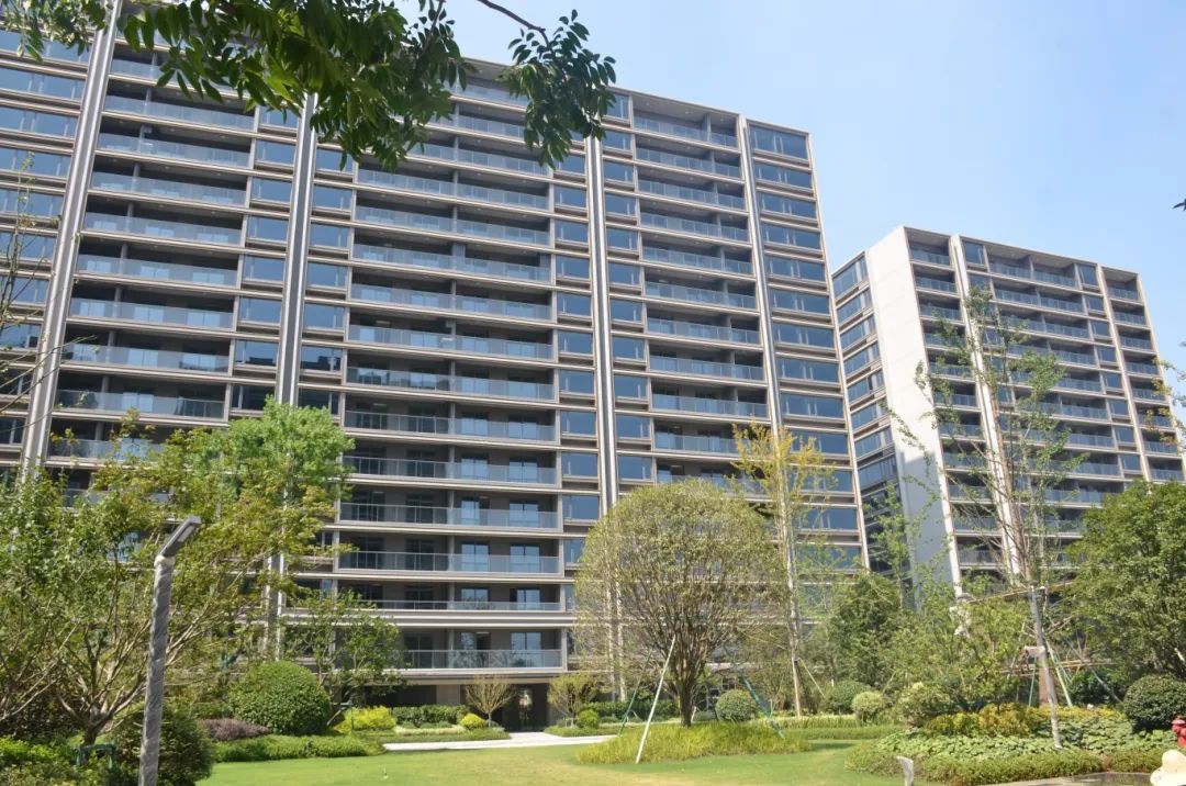 1716361345896143Cs3F.jpg 02.jpg