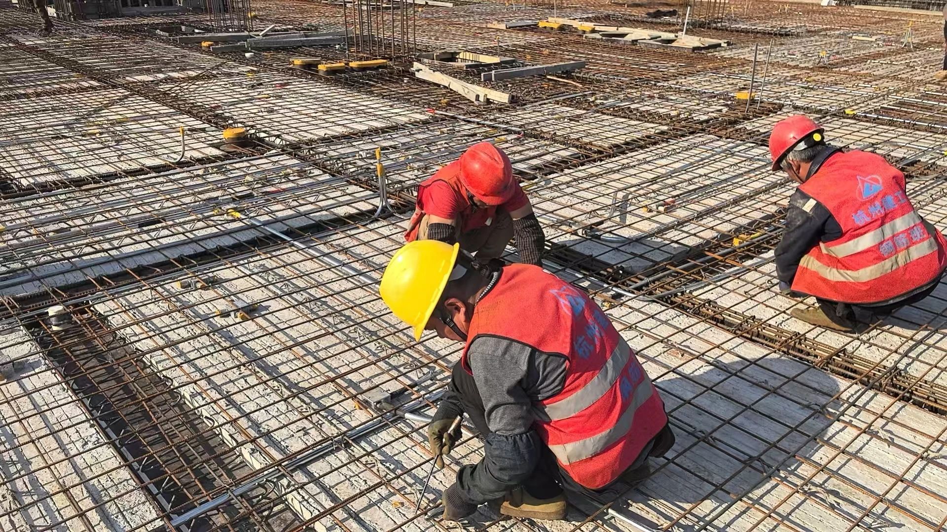 17425417874972653RRW.jpg 97b457c61bda27ccbf56801d640c0ddd.jpg